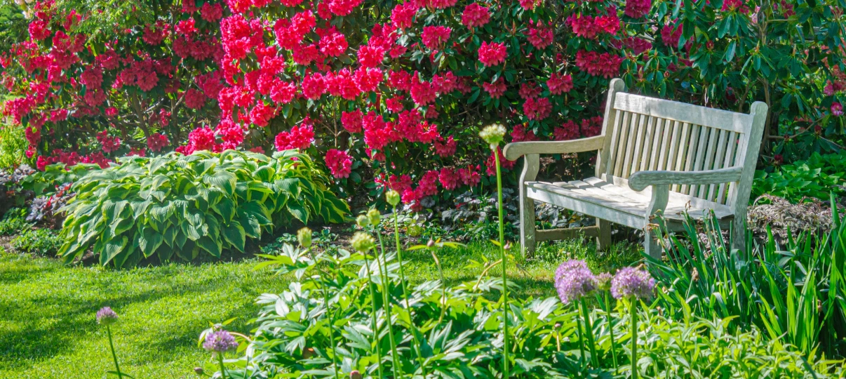 Transform Your Front Garden